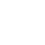 Logo DNV certificate